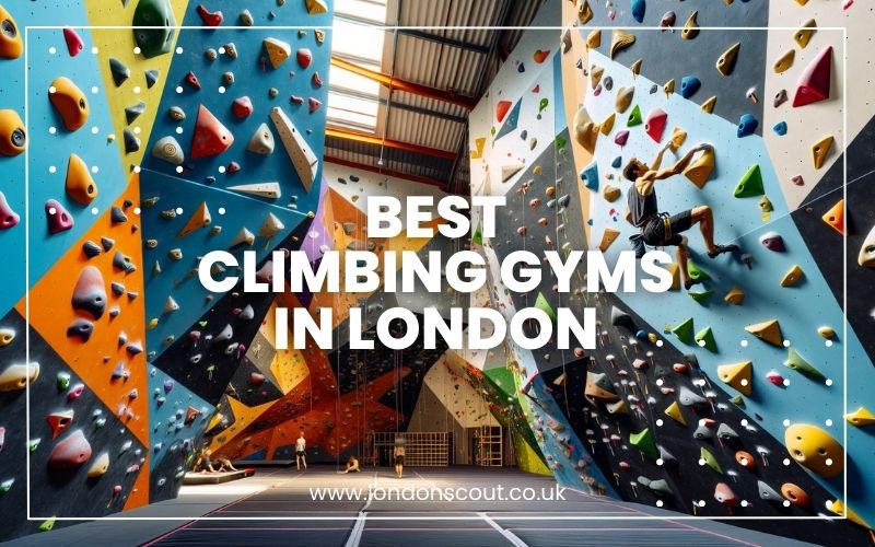 → Best Climbing Gyms in London Where Thrills Meet Skills (2024