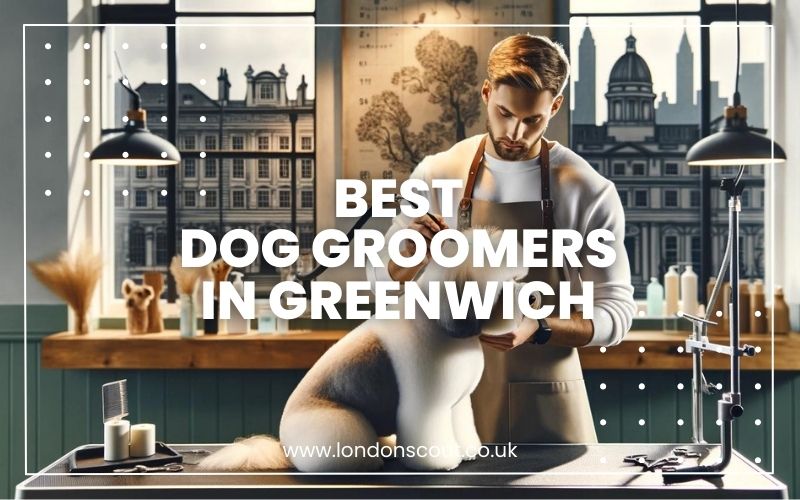 → Best Dog Groomers in Greenwich AwardWinning Care for Your Pet (2024