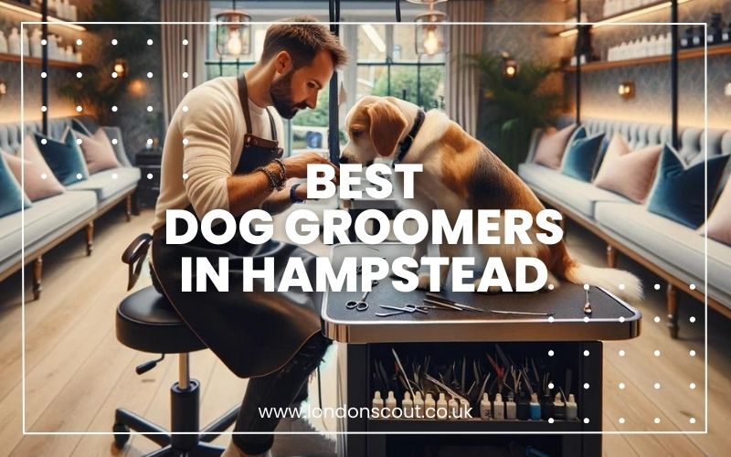 → Best Dog Groomers in Hampstead Stylish Snips for 2024 LondonScout