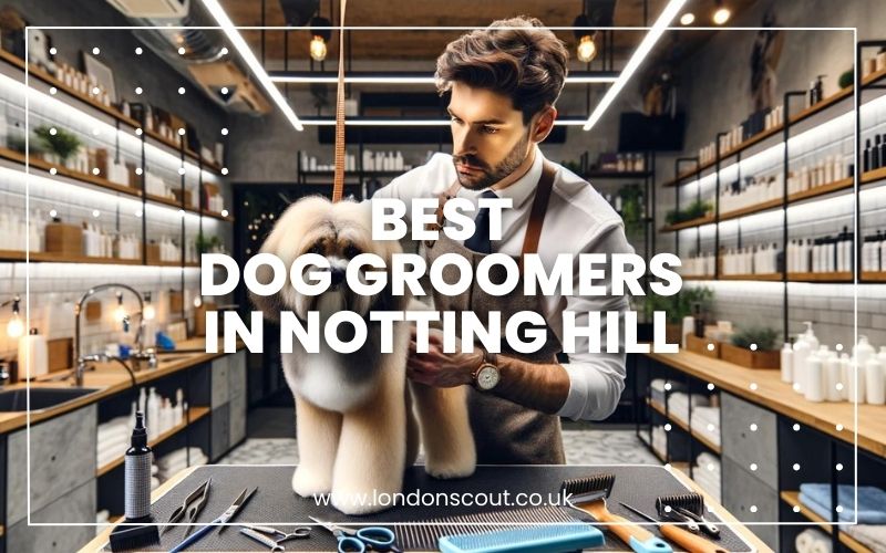 Best Dog Groomers in Notting Hill