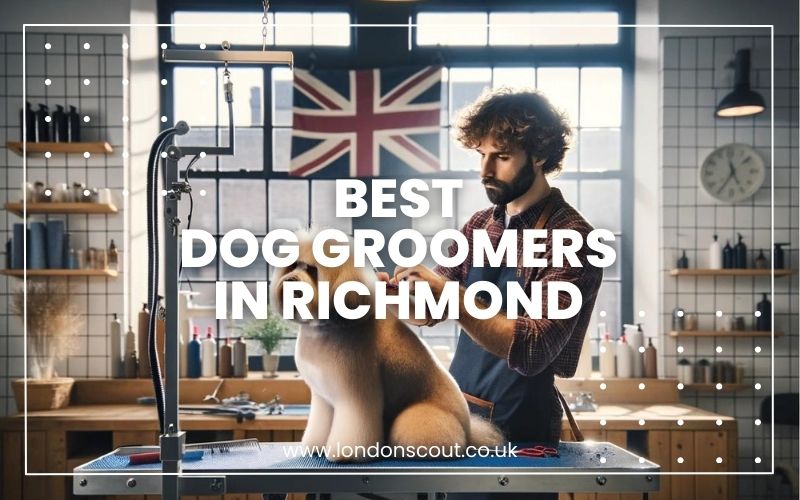 → Best Dog Groomers in Richmond Pristine Paws 2024 LondonScout