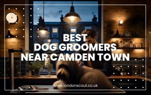 Best Dog Groomers near Camden Town