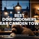 Best Dog Groomers near Camden Town