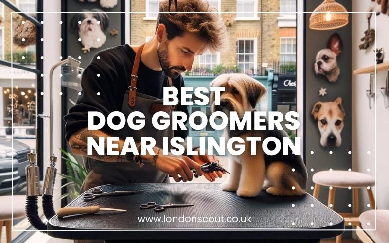 Best dog groomers near me discount