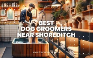 Best Dog Groomers near Shoreditch