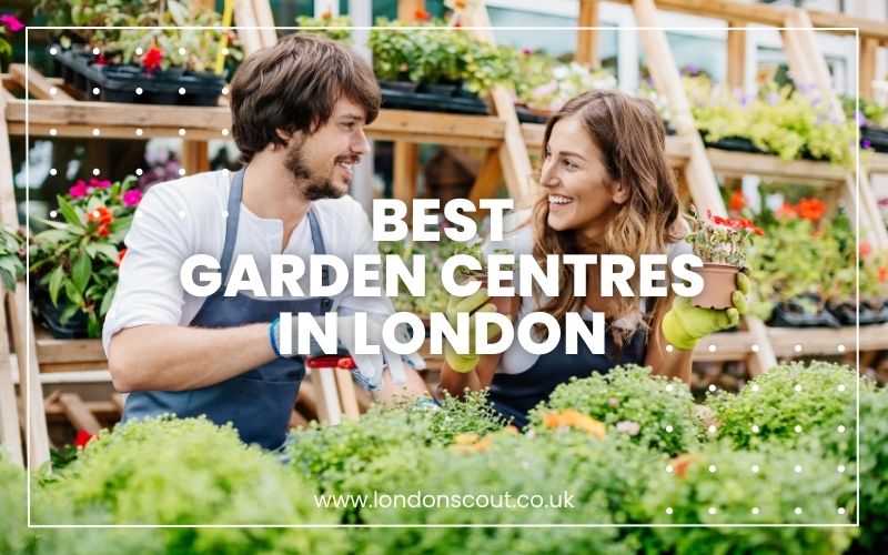 → Lush Escapes Best Garden Centres in London for Plant Lovers 2024