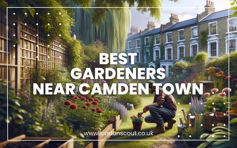 Best Gardeners near Camden Town