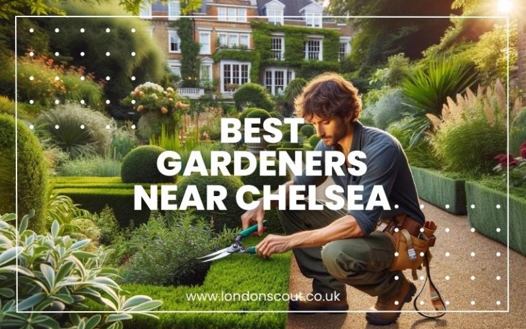 Best Gardeners near Chelsea