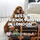 Best Pet-Friendly Hotels in London