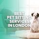 Best Pet Sitting Services in London