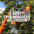 Best Tree Services in London