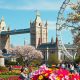 Visiting London in May (All you Need to Know!)